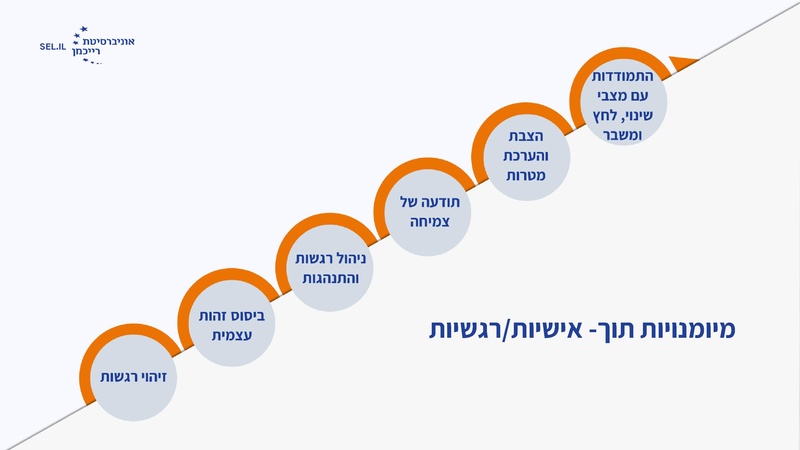 קובץ:מישרים כנס חורף 26.pdf