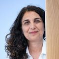 תמונה ממוזערת לגרסה מ־09:48, 6 ביולי 2025